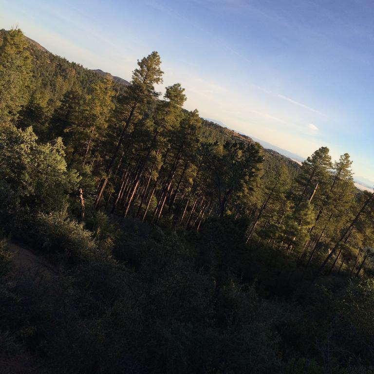 Apple Creek Cottages Prescott Esterno foto